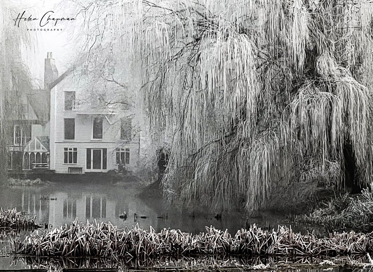 fundraiserhels's tweet photo. Yesterday’s #hoarfrost captured at #Ellingham #Norfolk. 💙. #weepingwillow #willowtree #frost #photography #bnwphotography #landscapephotography #landscapelovers #tree #weather #weatherphotography https://t.co/APLhz16MtO