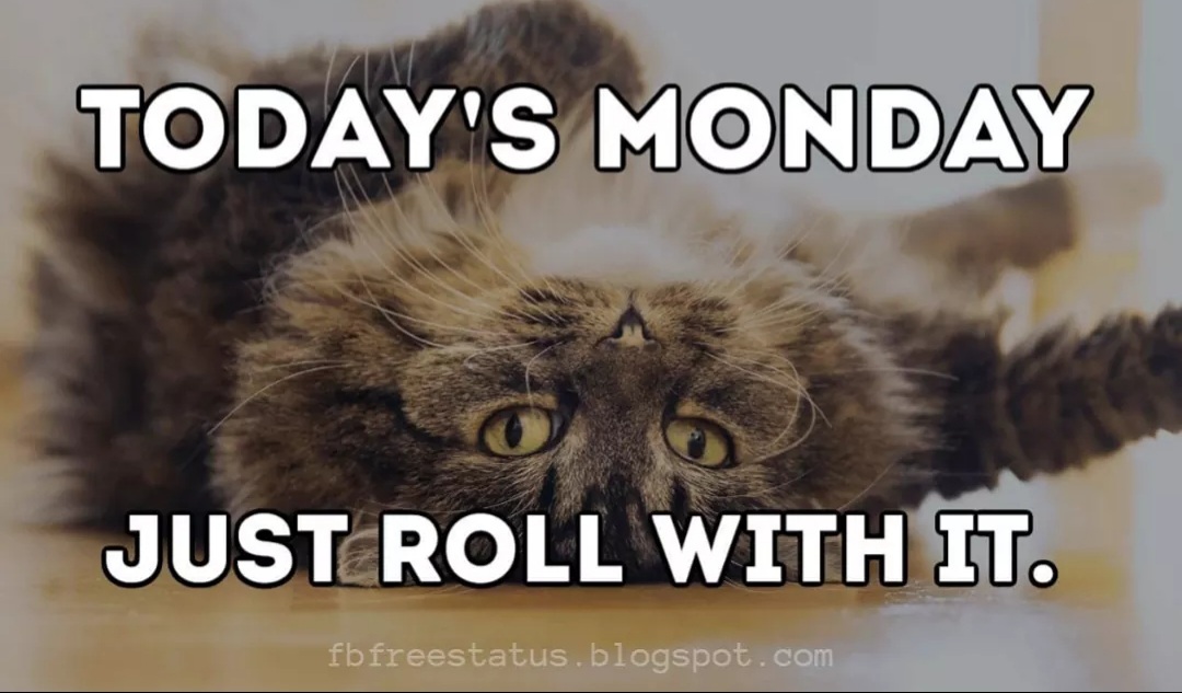 keystorage1's tweet photo. We don't have much choice anyways. You might as well come get a storage unit! It's almost spring cleaning time. #KeyStorage #selfstorage #FloweryBranch #GA #storageunit #storagesolutions #MondayMotivation #Mondayvibes https://t.co/BbDtrpeSjG