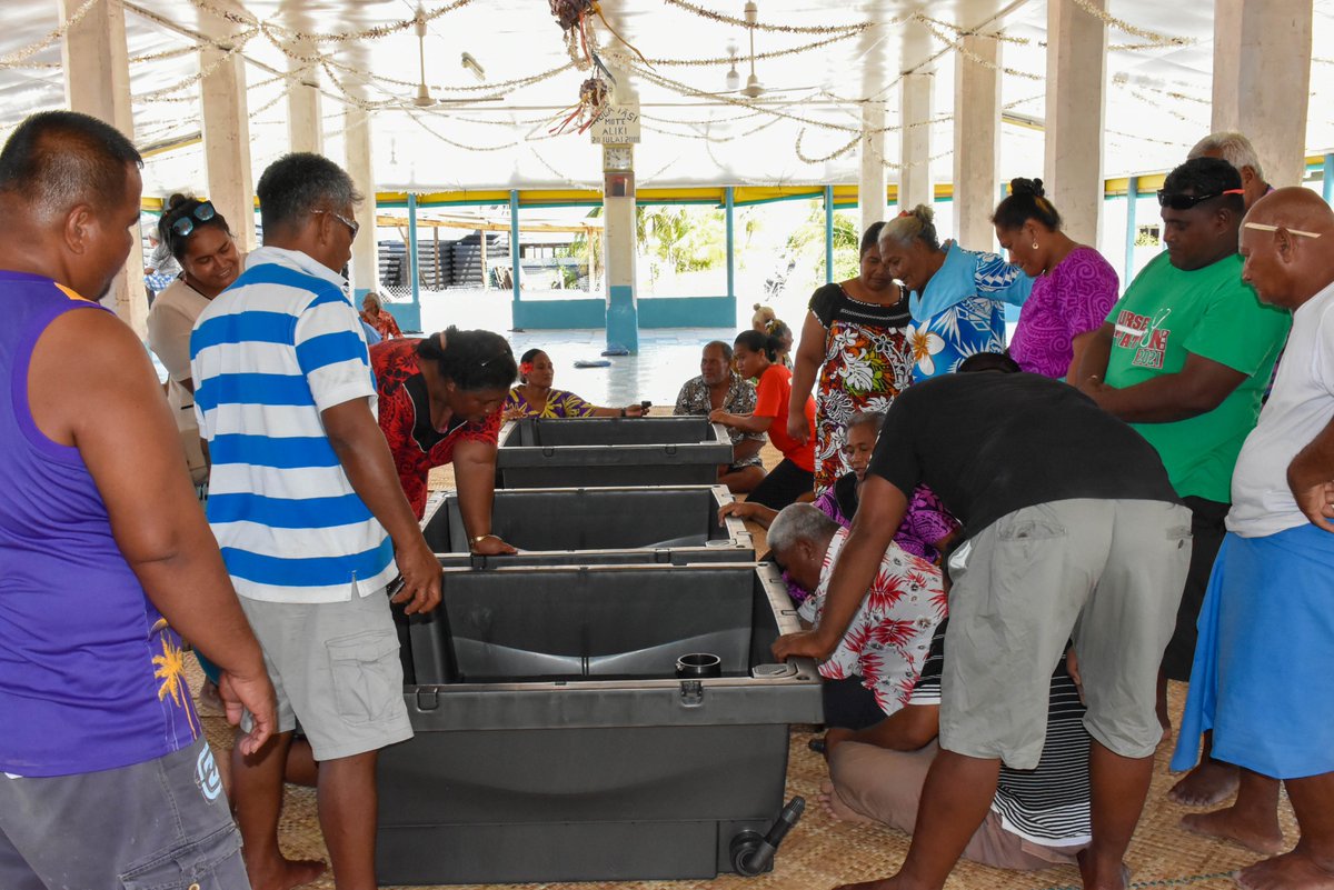 UNDP_Pacific's tweet photo. Airin, like many people in her community, faces daily challenges due to the impacts of #climatechange.

Learn how the @UNDP-@UNmigration food cubes initiative is improving #climatesecurity in #Tuvalu, equipping the community to build a brighter future: https://t.co/KVmYvWNFK0 https://t.co/dHlnicCpVK