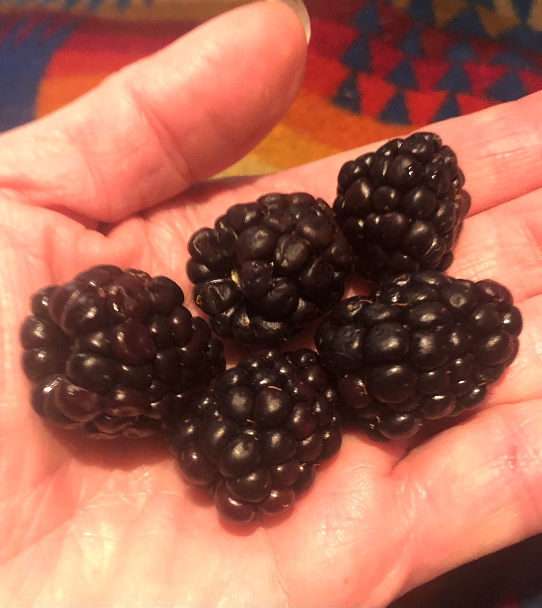 Recovering Vegan on Twitter "Starting to eat a small handful of