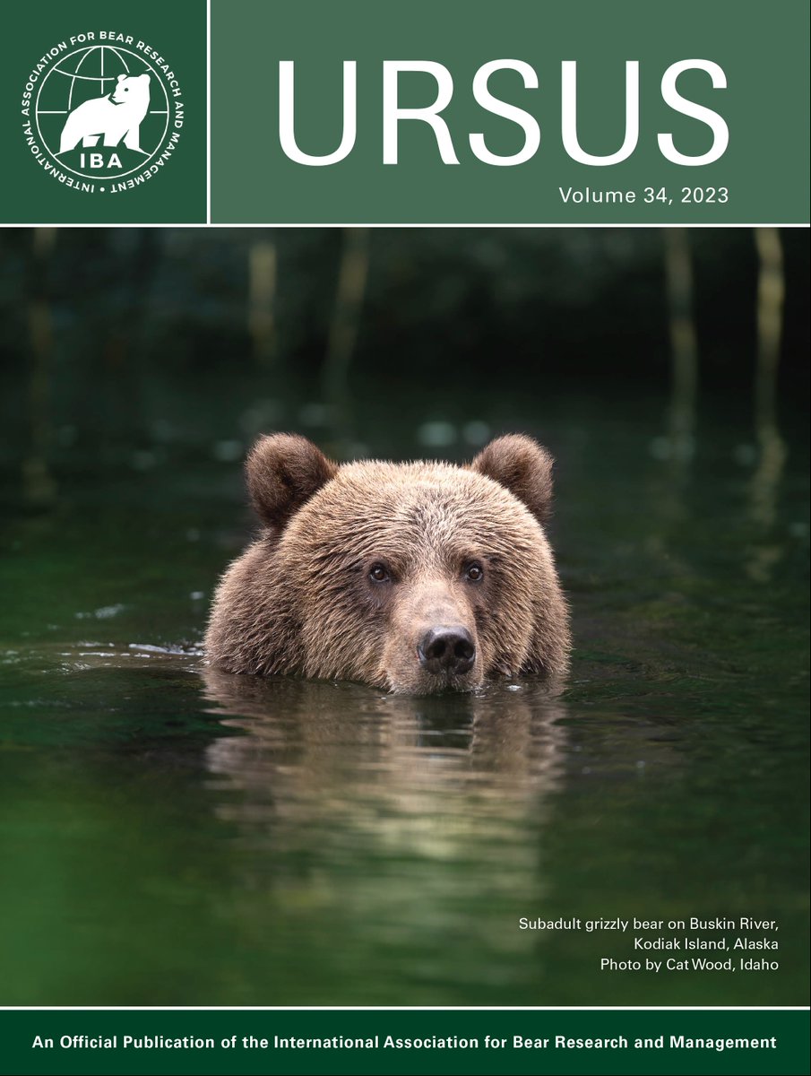 New cover for Ursus, Volume 34 for 2023. The image was selected from those submitted for consideration. This photo spoke to many. Thanks to everyone who submitted images! Thanks to Cat Wood for the image we selected. PS. we'll be asking again later this year for the 2024 cover.