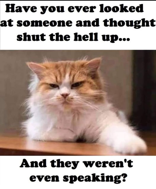 <a href="/Mollyjake3/">Molly jake</a> I can relate🙂