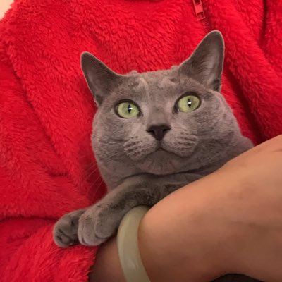 meowzilla666's tweet photo. #NewProfilePic https://t.co/MGtNCqk2N0