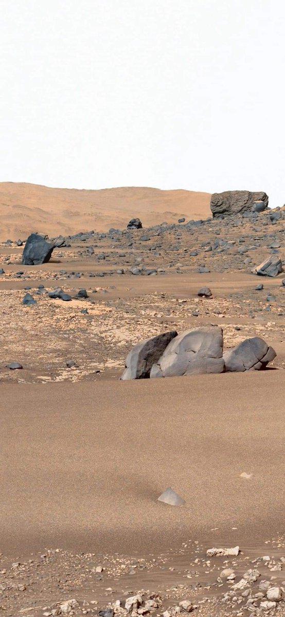 konstructivizm's tweet photo. Latest image of our neighbor planet 'Mars' by Perseverance rover
credit: NASA https://t.co/FqSVSv0QIY