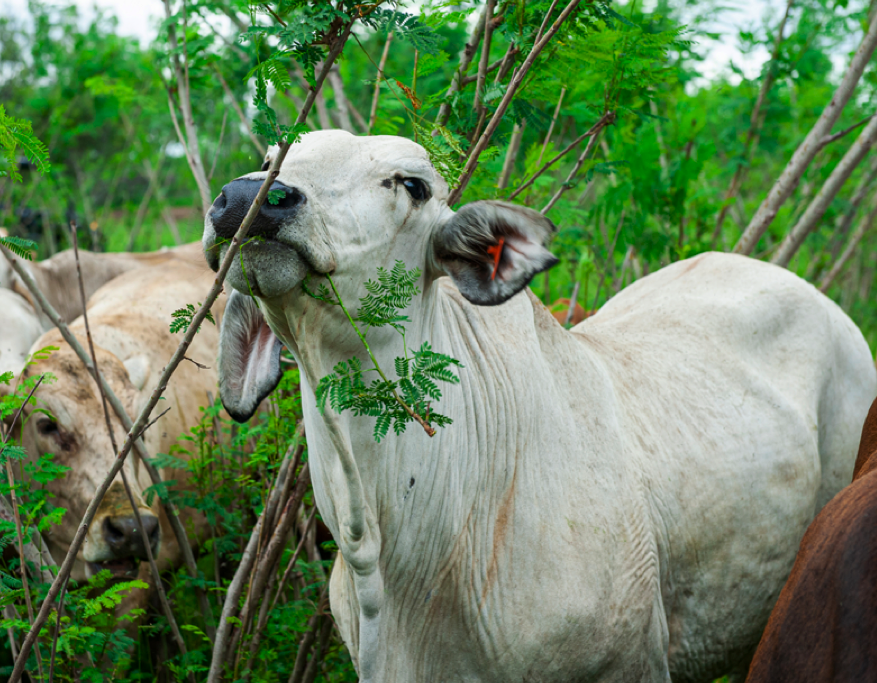 Sam Knowlton tweet media