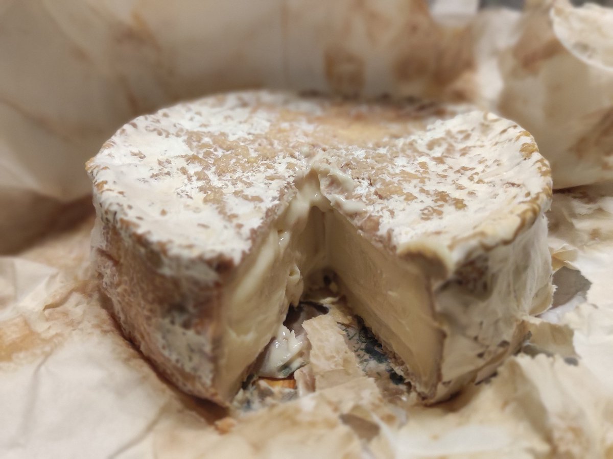 Quina refotuda bestiesa, el <a href="/serratgros/">Serrat Gros</a>! Res més! Reverències infinites! 🤤