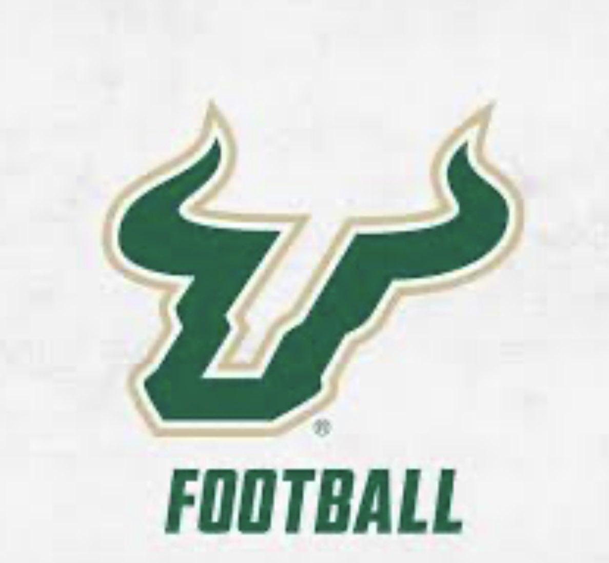 NathanTveit's tweet photo. #AGTG Extremely blessed to receive my 2nd offer from University of South Florida @USFFootball @CoachHoodie @CoachGolesh @CoachOdierno @CoachProth @OviedoFBRecruit @ChadSimmons_ @Andrew_Ivins https://t.co/BtGXHpsiJt