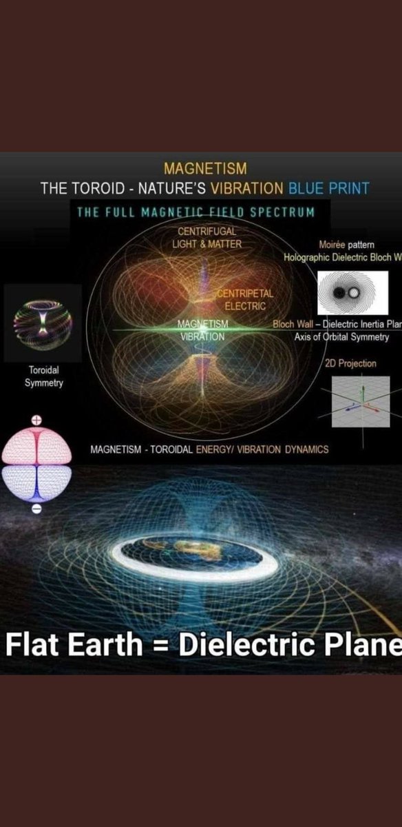 Truthseekaaaa's tweet photo. @DanWhitCongress @curiosityonx Gravity is a hoax. It's magnetism. Reprogram yourself with the truth. https://t.co/ycQxOducmj