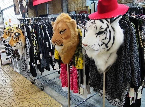 大阪ナメたらあきません。ライオンの顔リュックなら、もう売ってます！