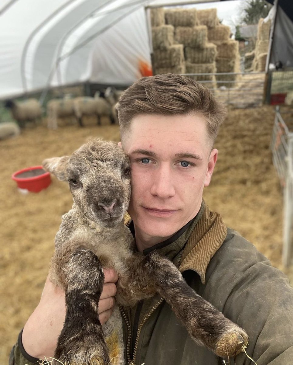 PrettyLittleThing tweet media