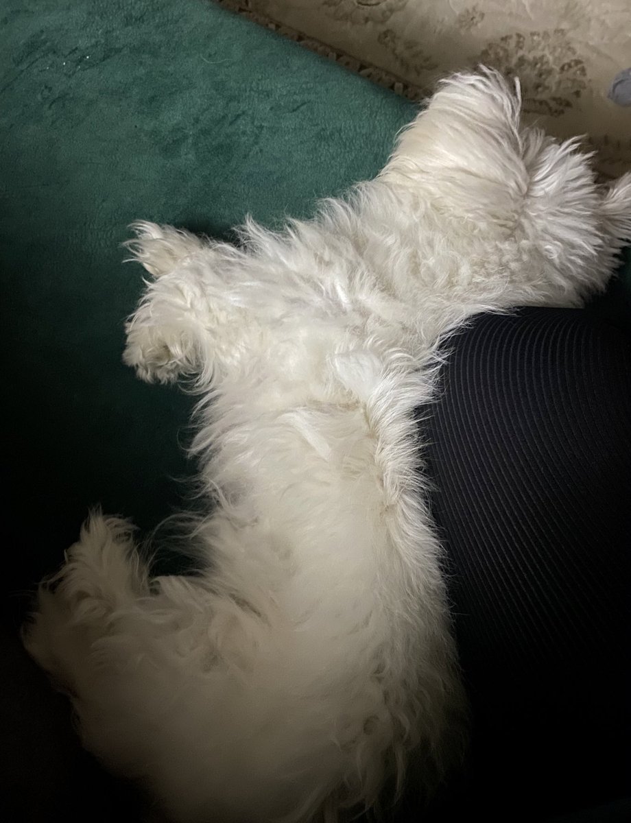 anneme temassıs uyuyamam ❤️‍🔥