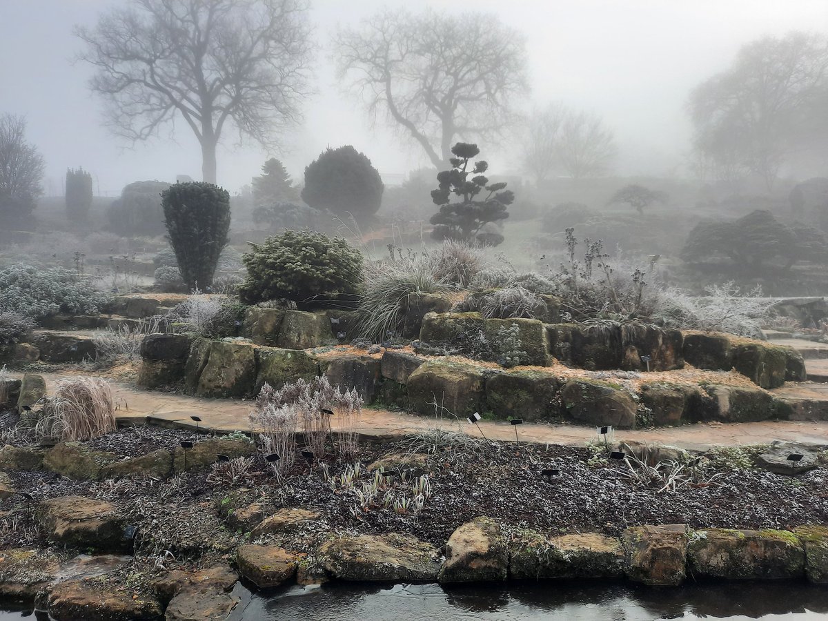 JudithMcardle's tweet photo. @Matthew_Pottage @RHSWisley We visited yesterday, it magical in the mist https://t.co/AFrTQ1DNJi