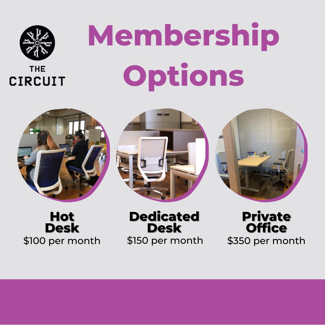 The Circuit tweet media