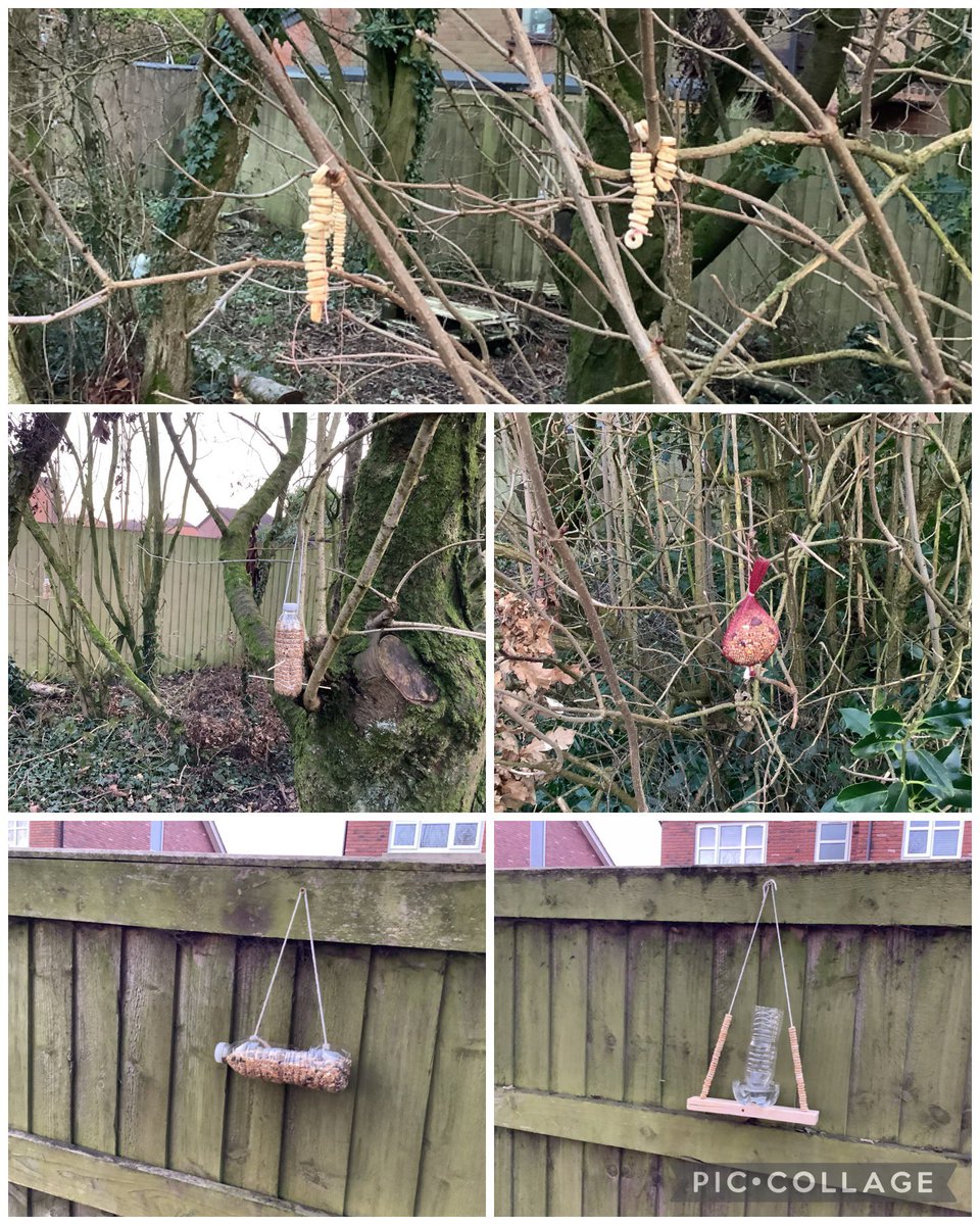 ecoclubaspull's tweet photo. This evening we have been taking part in the #BigGardenBirdWatch after spending the last couple of weeks creating a variety of bird feeders, our of recycled materials, to put up around school! https://t.co/xkYWTbV4GQ