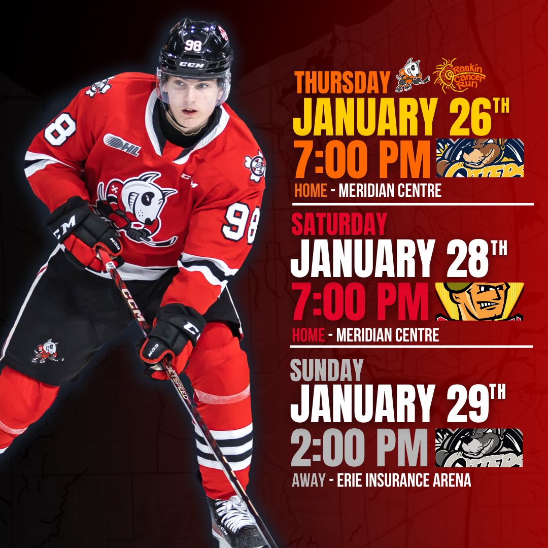 x-Niagara IceDogs tweet media