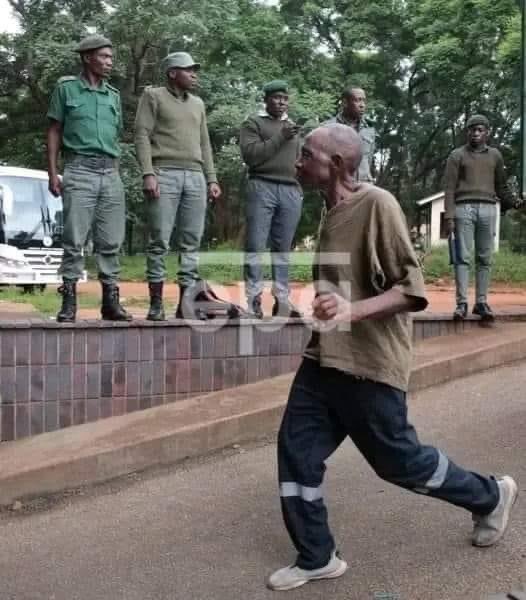 Dr Nyasha William Gwazemba PhD tweet media