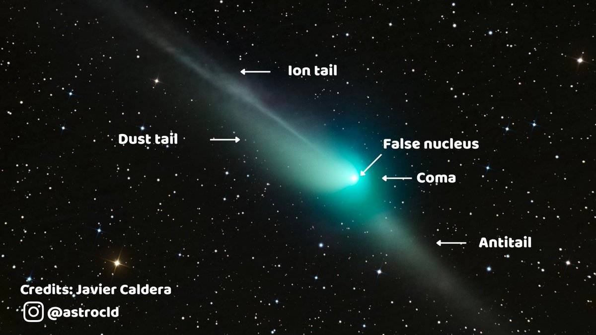 📸 The ZTF comet captured last night by the astrophotographer and Biochemistry student Javier Caldera (<a href="/javicalderaa/">Javier Caldera</a>) in this extraordinary picture!

The antitail indicates that it propels centimeter particles of the comet that continue to coorbit its orbit 👇