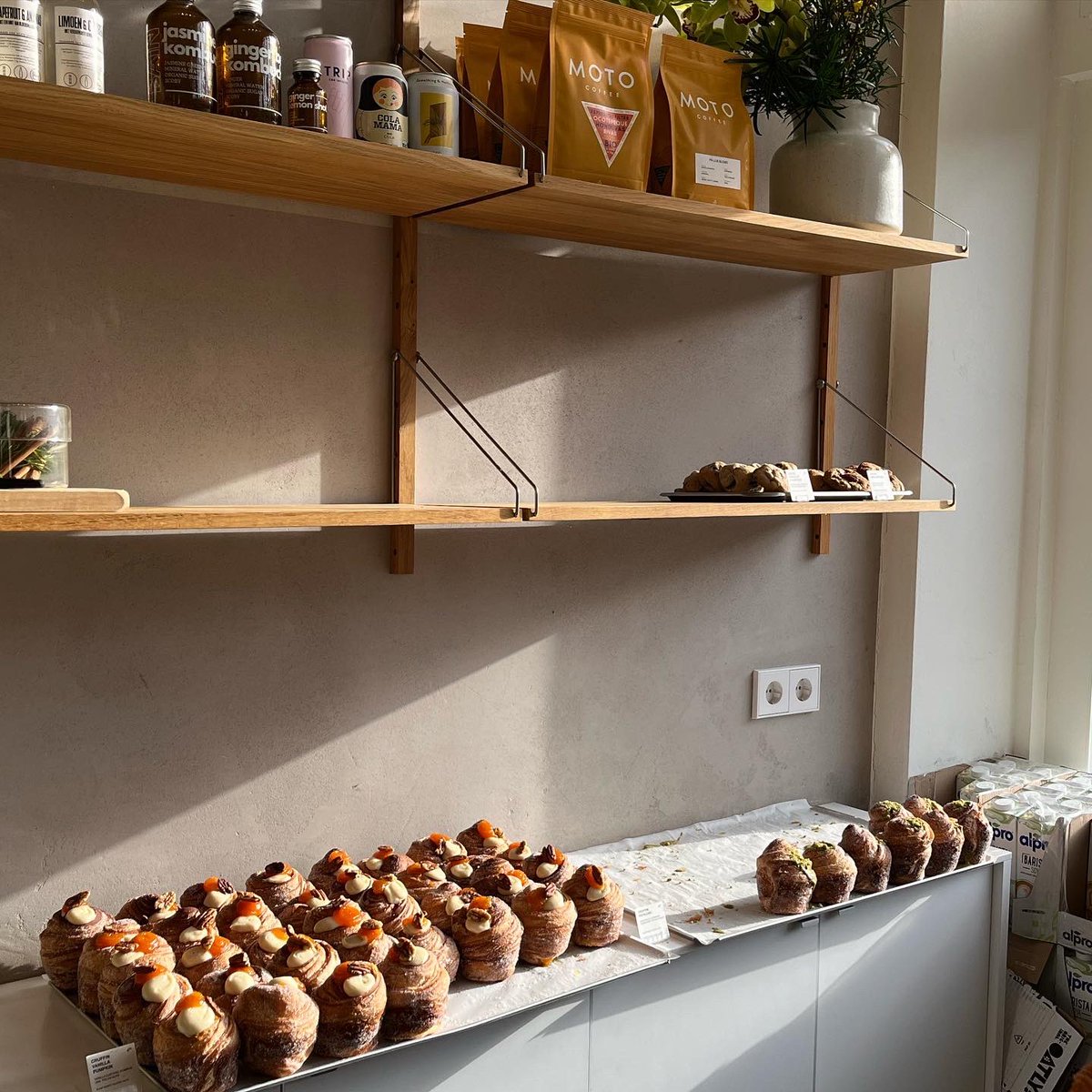 Lately 💗💐☕️