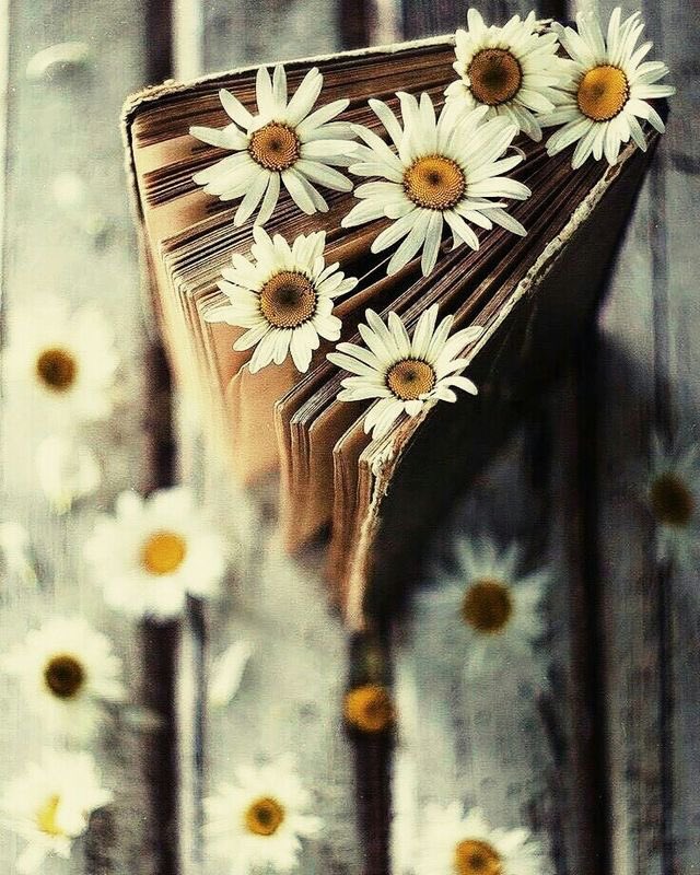 MKT_RS_'s tweet photo. #GainStrongFollowers⚜️♥️

@MalevolaKR
@ArleDoceArle
@maryann_zaccone @Maria_Dzadina @mariochupitero1 @MARIALUISAMAR5 @Mariano03876298 @emariana74 @alberto_mario68 @MaxiPedrozo15 @DonaldP28785881 @Carmen_FloresS9 @F46645019Carlos @chbob0 @manameno174
@socorromarques5 @IfbSdv
♥️⚜️ https://t.co/UldfqrmFK3