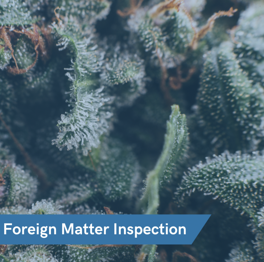 We provide foreign matter inspection to ensure your products are free from any foreign matter contamination that may have gone unnoticed during the cultivation or processing of your product.