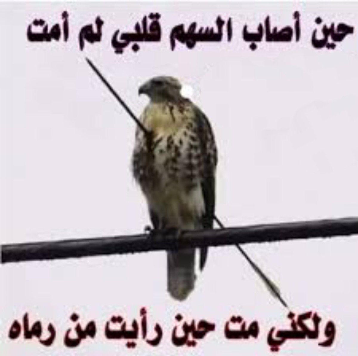 _saraalamoudi's tweet photo. @HamFil @asayel_f @reham_mus https://t.co/Me0Nrg0dPY