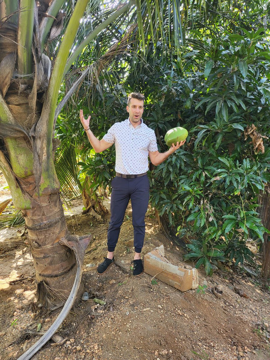 CraigSamsky's tweet photo. Took a trip to India and visited some 🥥🥥🌴🌴 farms
@GreysonClothier 
#coconut 
#Batman 
#india https://t.co/mF13YALOUN