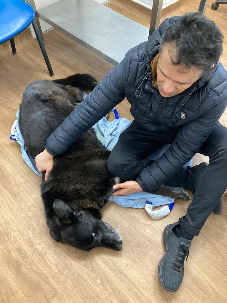 Haseeb Ahmad 💙🏳️‍🌈🇬🇧🇵🇰 tweet media