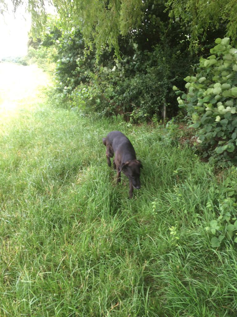 Haseeb Ahmad 💙🏳️‍🌈🇬🇧🇵🇰 tweet media