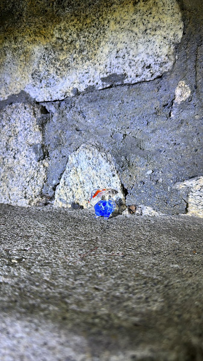 ptmonkey5's tweet image. Found and replaced!! Thank you so much! It’s beautiful.😍#monkeyshines2023