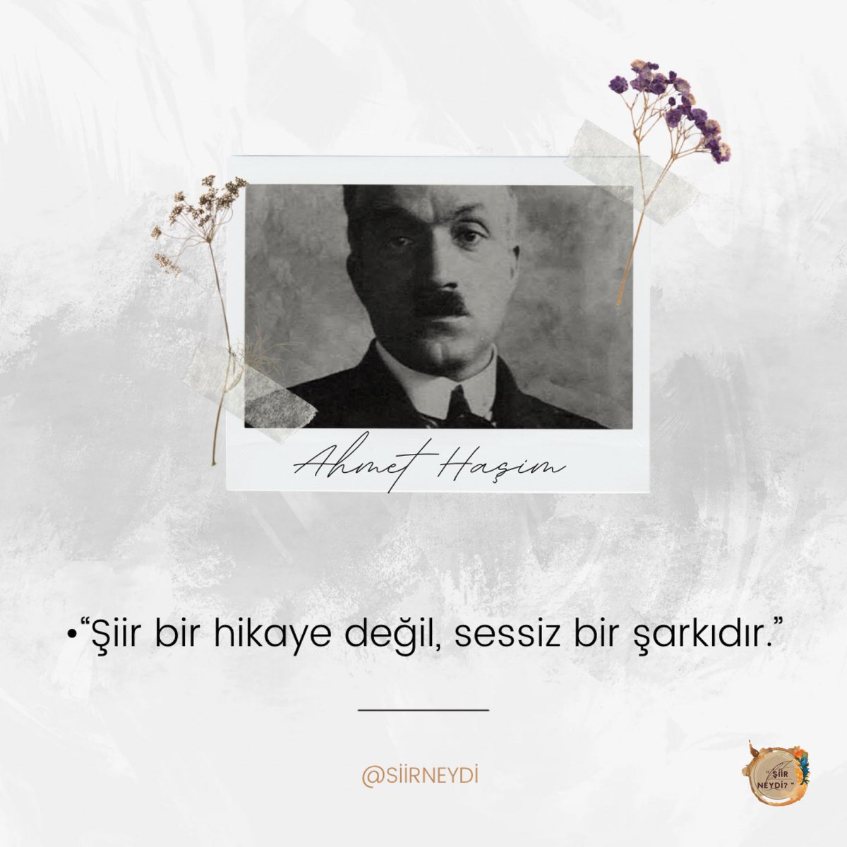 siirneydi's tweet photo. https://t.co/rwyephPuWO