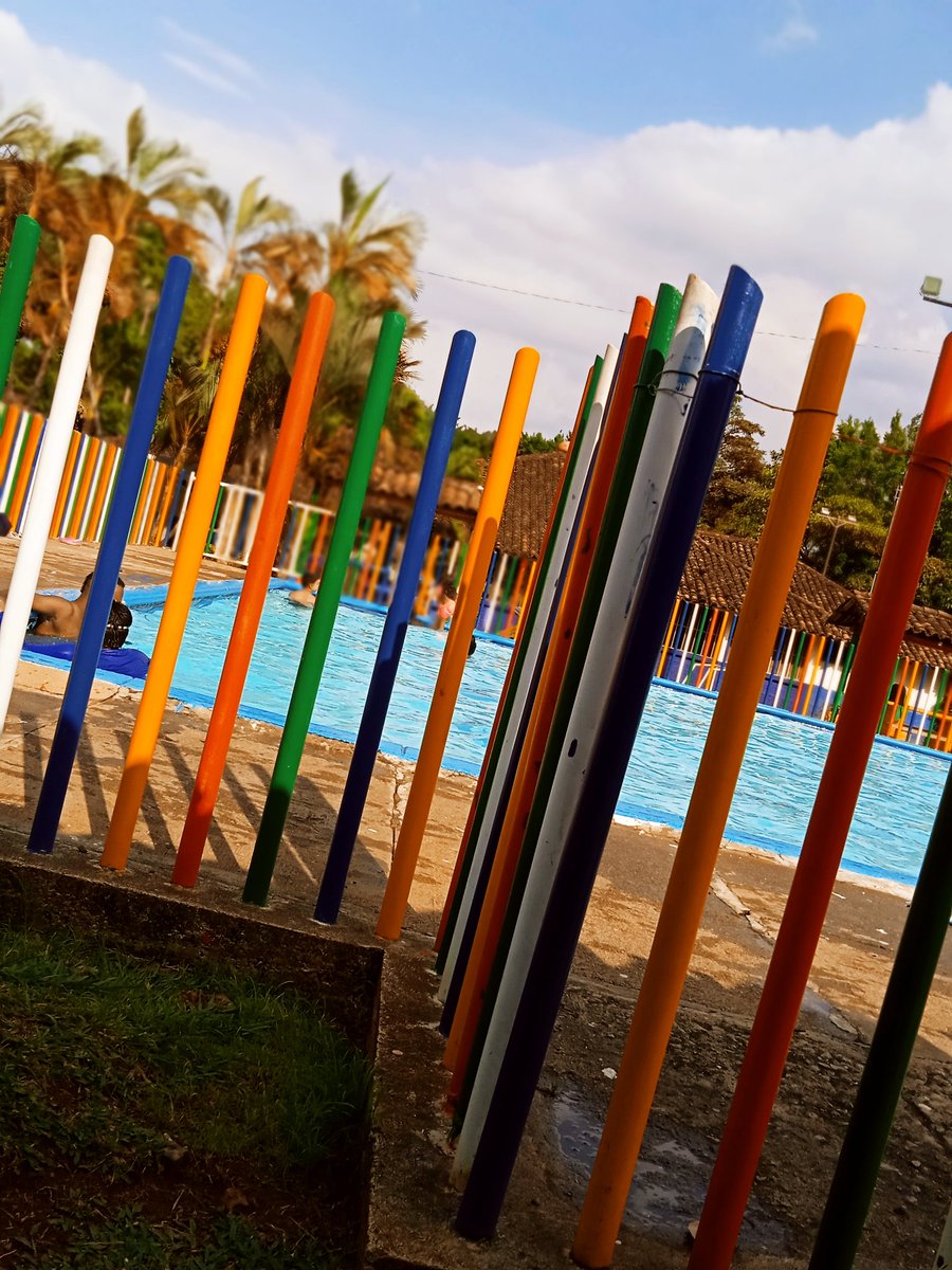 MarcoCaez's tweet photo. Con este sol, esta perfecto ir a piscina
#airelibre #photography #piscina #sol #fotos #colores #nada :) https://t.co/jsJemUheNb