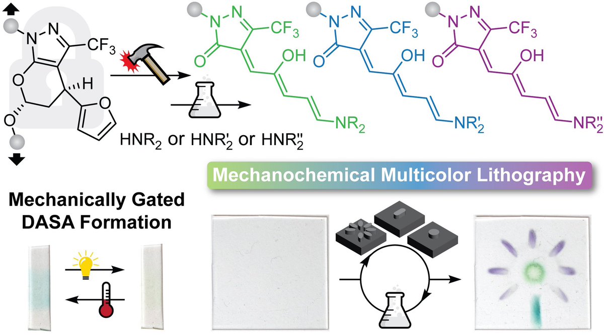 Maxwell_Robb's tweet photo. 🤩 Congrats to Anna Overholts (@TheRobbGroup) for leading this study now appearing in @NatureChemistry! Our approach enables the mechanically gated formation of DASA dyes/photoswitches for mechanochemical multicolor lithography. https://t.co/SX8bQ9v4eO https://t.co/nGyaxBP85Z