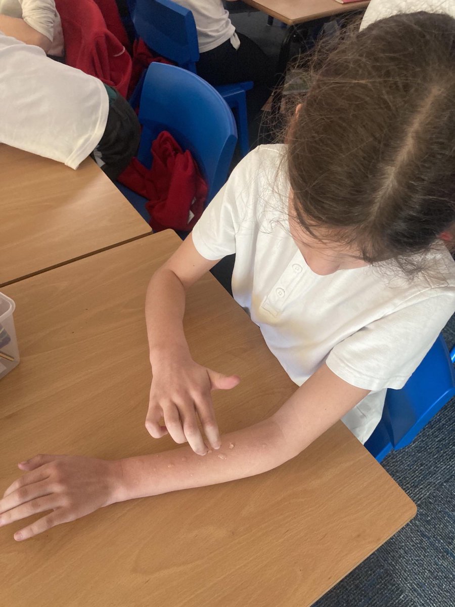 sherburnhungate's tweet image. Today,Year 5 used their sensory experiences to help imagine what it is like to be in the Amazon rainforest. Miss Wood took a small group of children on a secret mission to Fields Garden Centre to procure some plants native to the Amazon #SHPEnglish #English #MakingLearningMagical