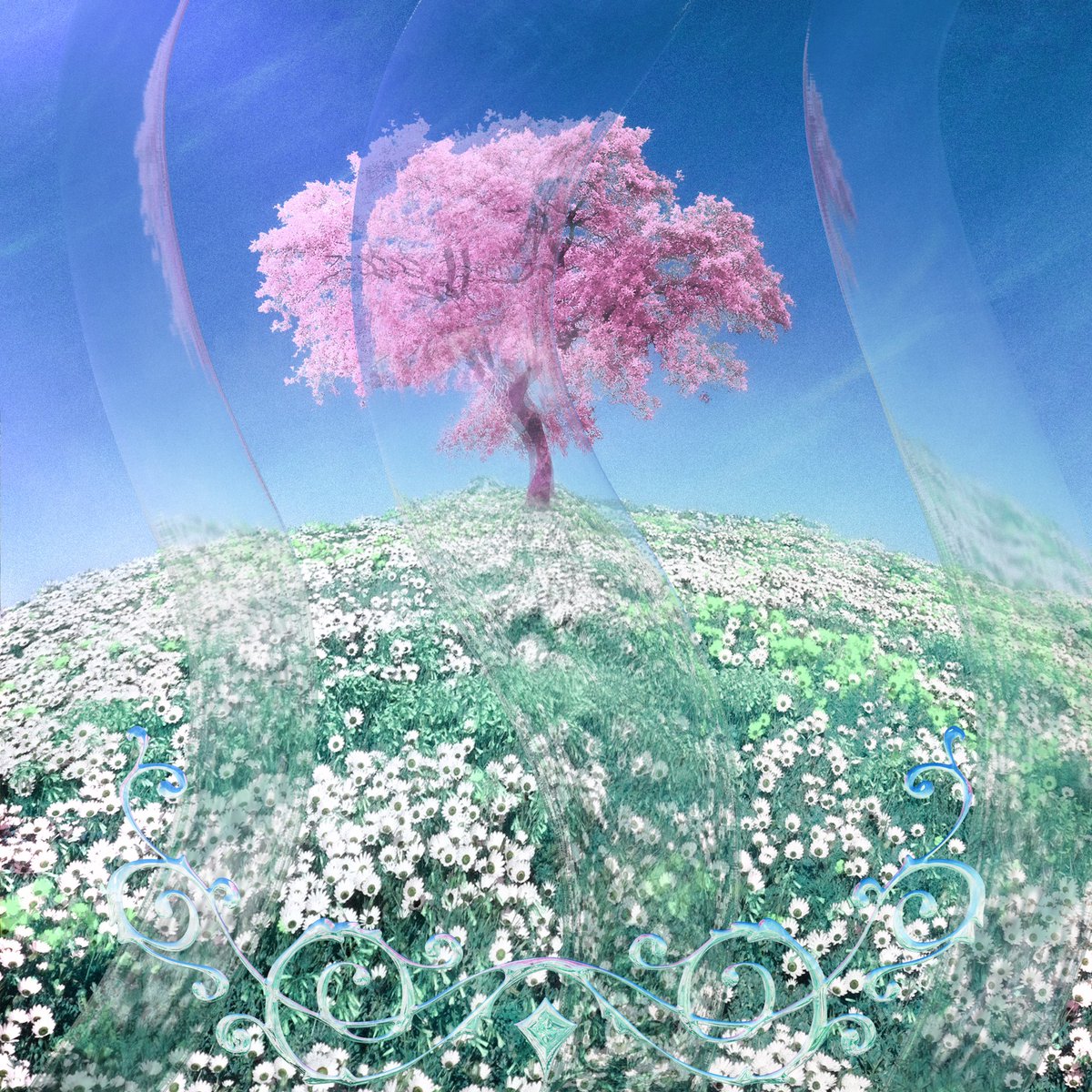 dj plana tweet media