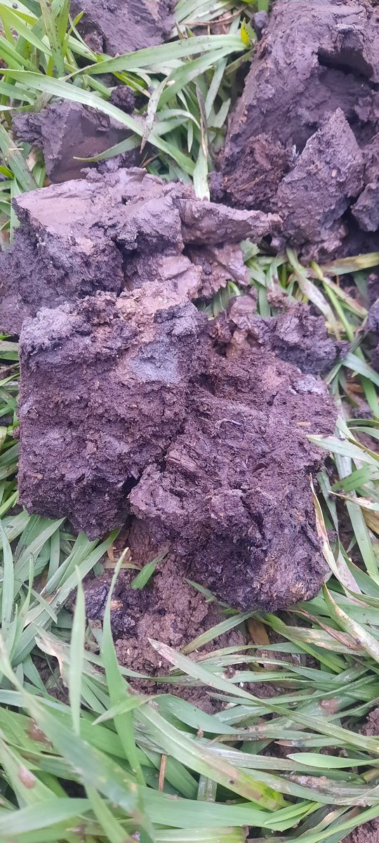 ChristoffeldenHerder tweet media