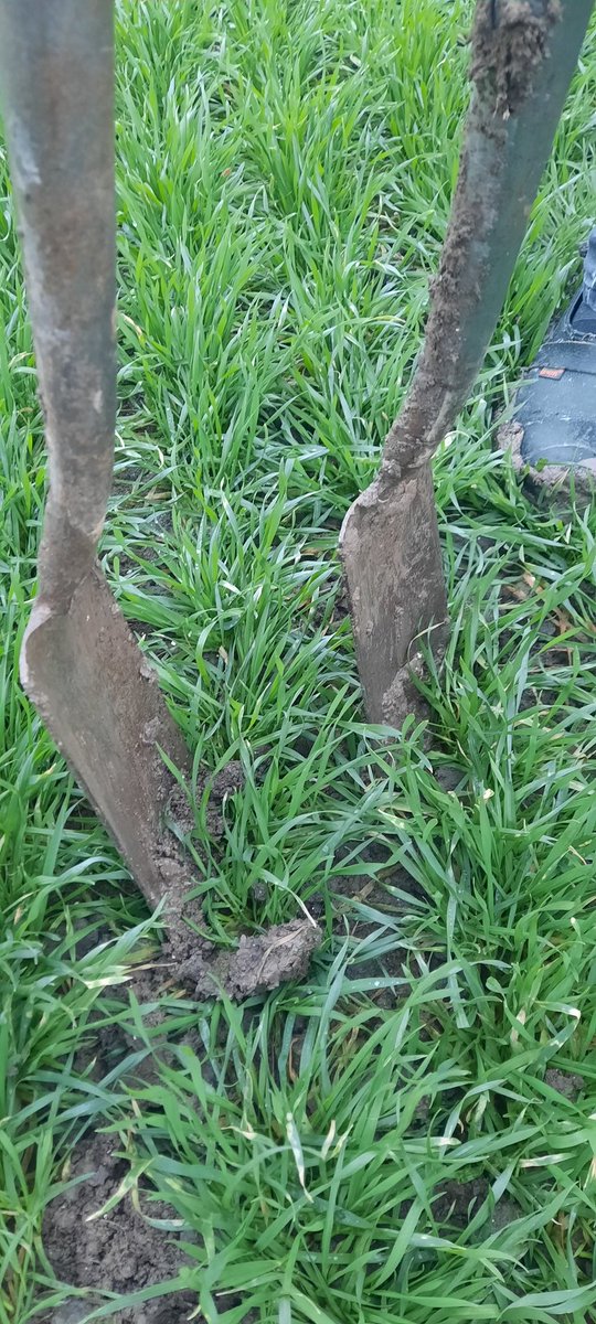 ChristoffeldenHerder tweet media