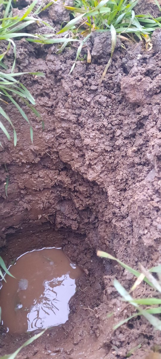 ChristoffeldenHerder tweet media