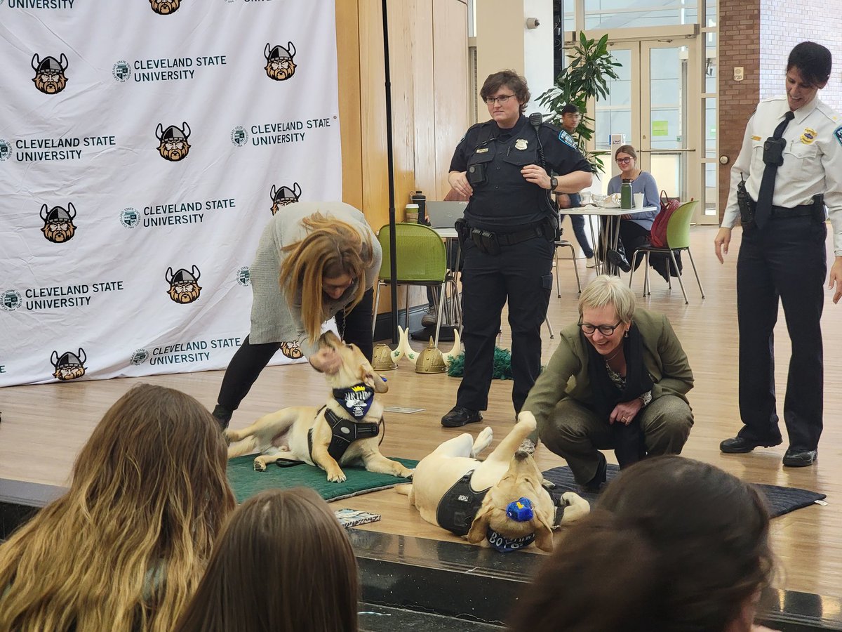 PokoTraveler's tweet photo. Happy Birthday, Rune & Thor, who are 1 year old! 🎈🧁🐕🦺🐕🦺 #HBDRune #HBDThor #CLEstate @CLE_State @CSUpd https://t.co/HNroINWVoa