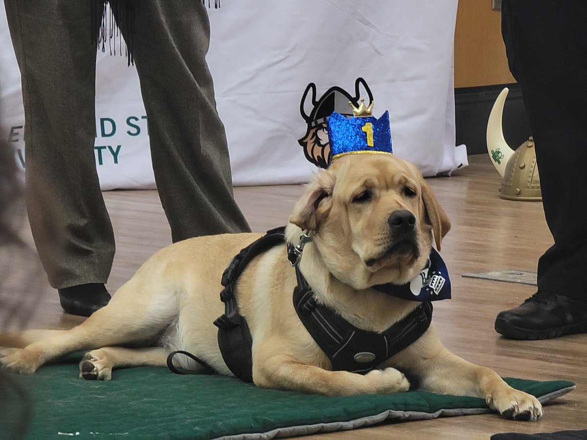 PokoTraveler's tweet photo. Happy Birthday, Rune & Thor, who are 1 year old! 🎈🧁🐕🦺🐕🦺 #HBDRune #HBDThor #CLEstate @CLE_State @CSUpd https://t.co/HNroINWVoa