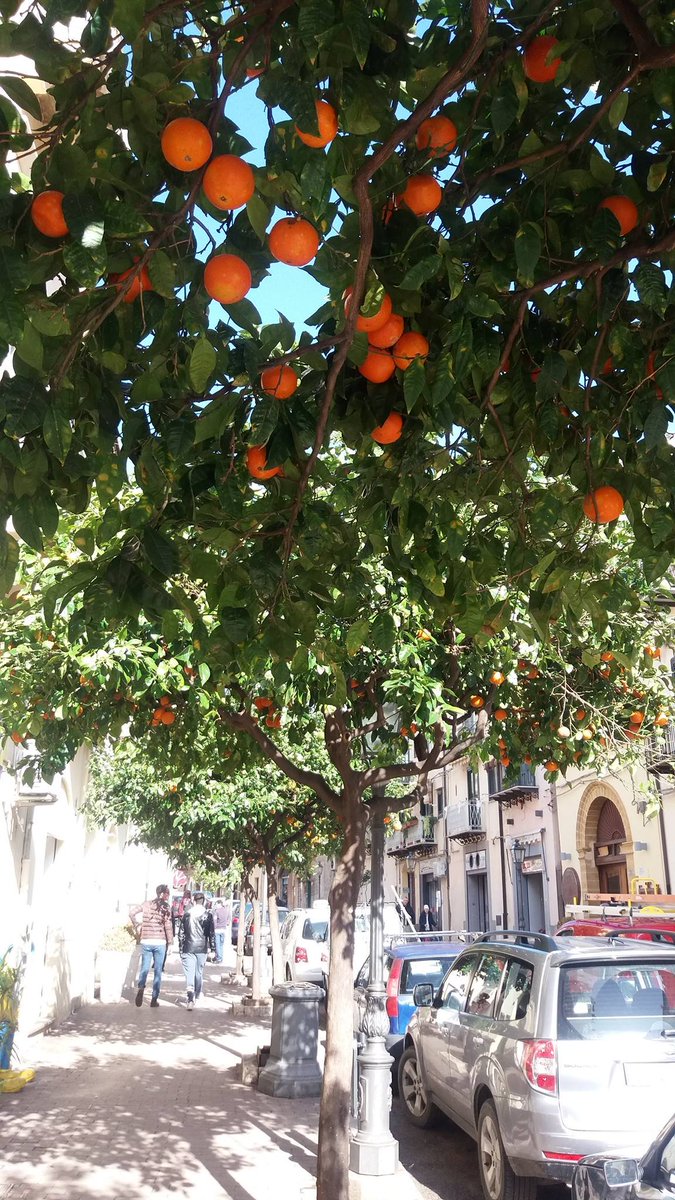R4CK4TT4CK's tweet photo. Sicily in January 👀🥰 #chebella https://t.co/HJ6T6Z4kF3