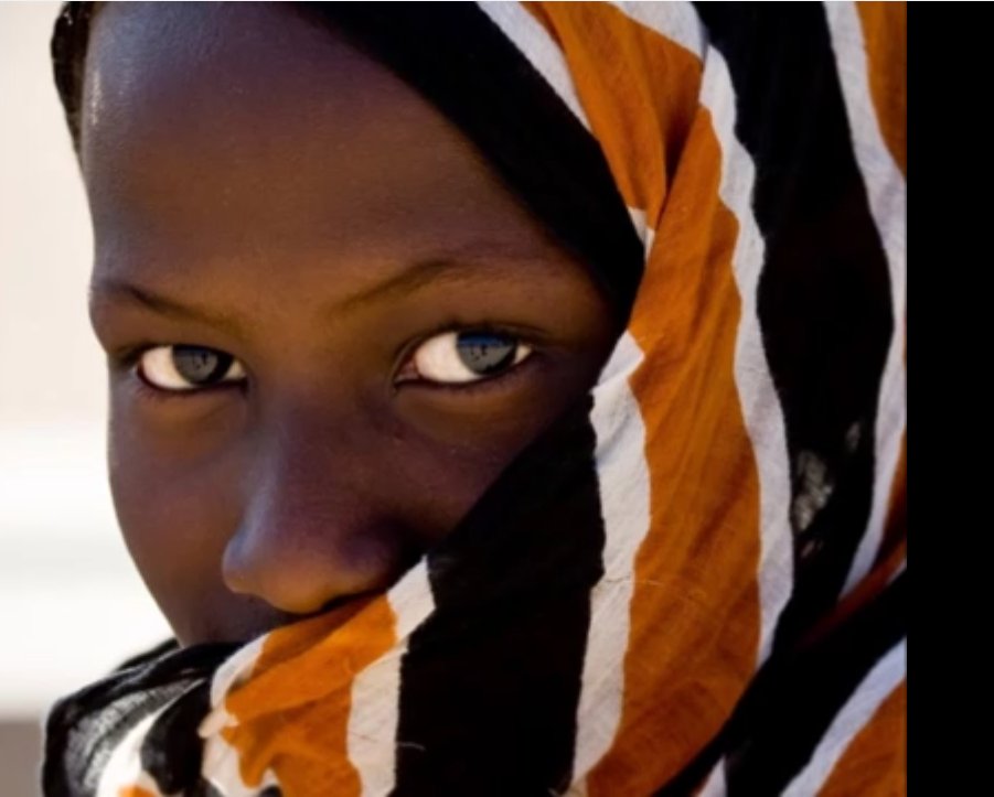 mzeesiraj's tweet photo. Images:- #Afar people #Djibouti,#Eritrea and #Ethiopia.
Millenniums of intermarriage between #Africans(Danakil/Midgan)Horn of #African Region, and Adaiel(Cushites/#Galla people) from Arabian peninsula.
#Afar,#Agow,#Somali,#Borana their progeny. #Oromo,#Ethiopia's southern #Agow. https://t.co/WjDxPNaA7n