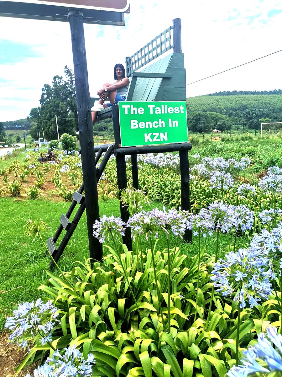 RoselinPillay's tweet image. #CapitecLiveBetter
It will definitely go towards a road trip so that I can have  priceless experience ☺️
#TheInsiderSA