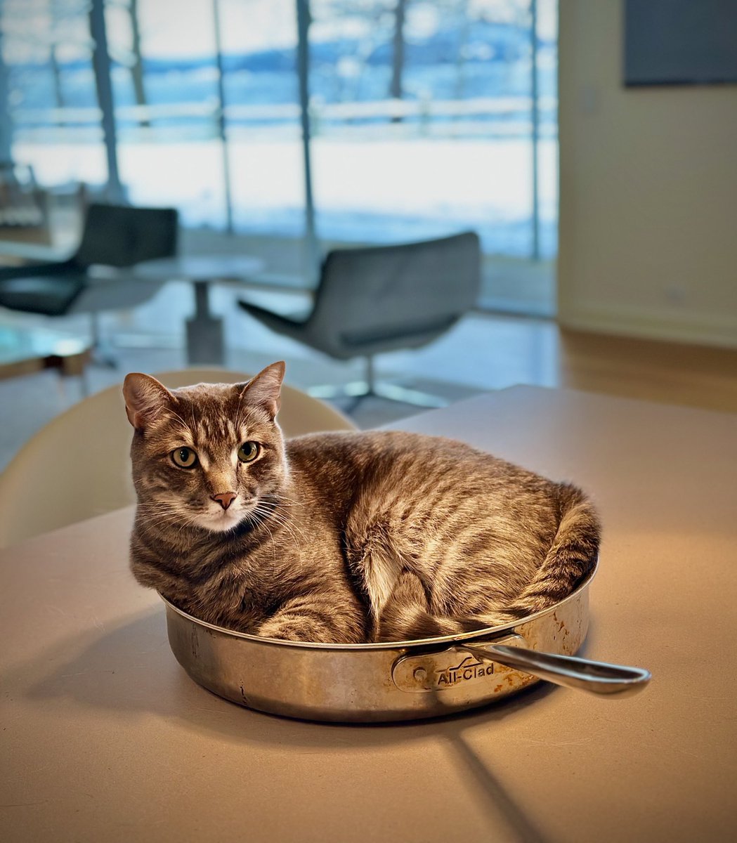 Mike Gordon tweet media