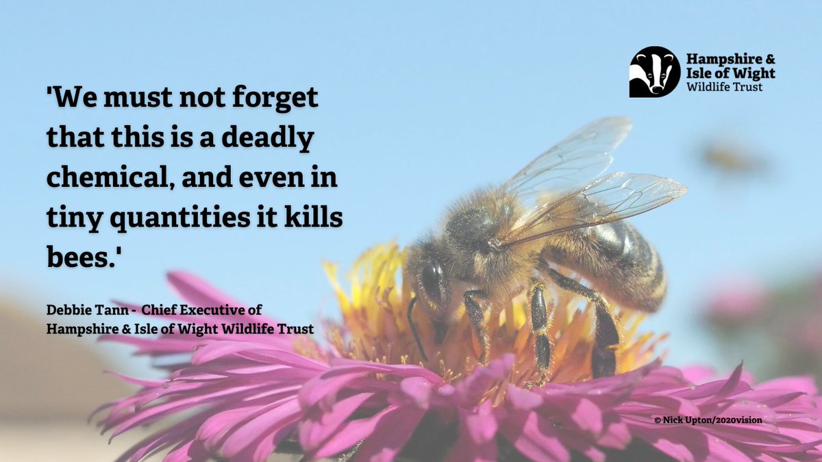 Hampshire & Isle of Wight Wildlife Trust tweet media