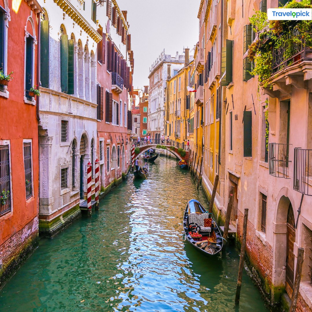 travelopick's tweet image. Gondola rides in Venice are still gorgeous, unique, and romantic. What's your thought?
#venice #gondola #veniceitaly #venice🇮🇹 #italy #italy🇮🇹