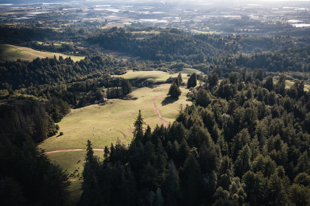 The 839-acre Estrada Ranch, which stretches along the summit of the Santa Cruz Mountains bet Gilroy &amp; Watsonville, was bought  for $10.6 mil  in Dec by <a href="/POSTLandTrust/">Peninsula Open Space Trust (POST)</a>. “We wanted some kind of a deal to preserve it,” family selling said. buff.ly/3QZdmLX via <a href="/PaulRogersSJMN/">.</a>