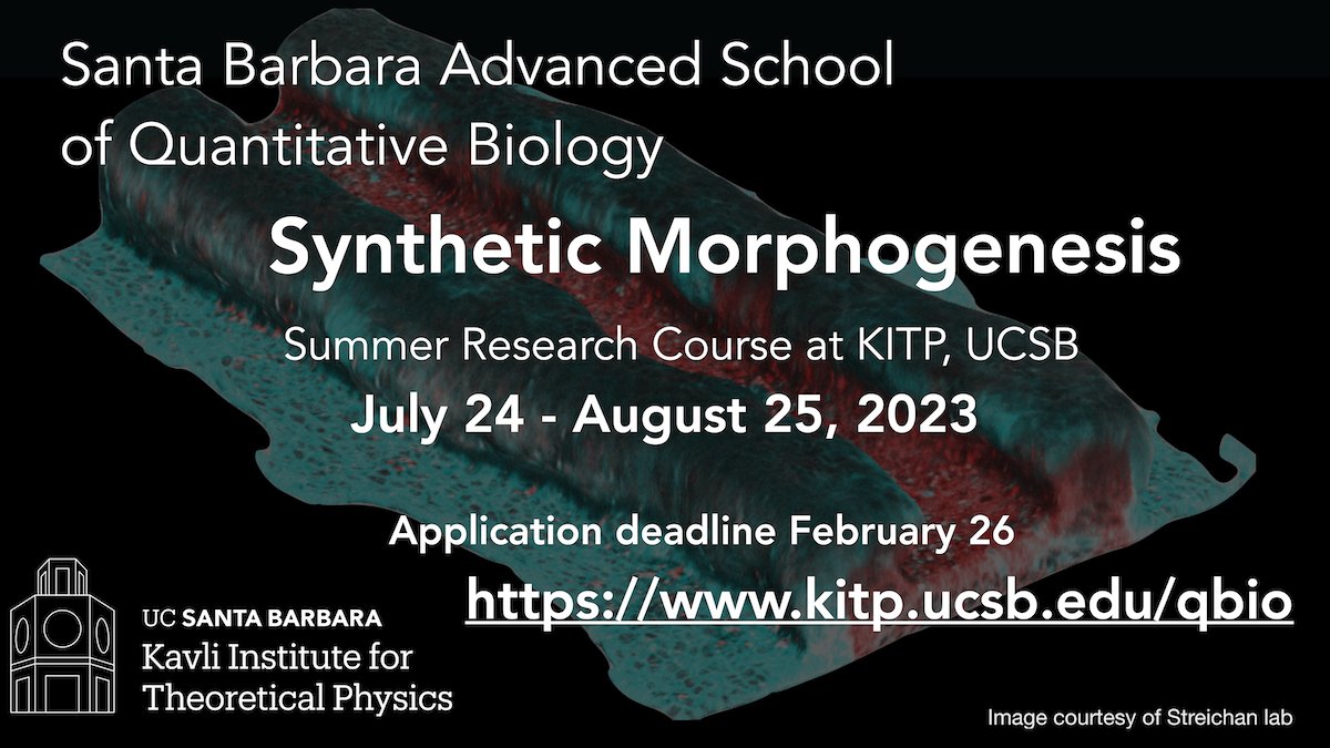 KITP_UCSB's tweet image. PhD students and postdocs: apply for the 2023 #kitpqbio summer course on Synthetic #Morphogenesis at kitp.ucsb.edu/qbio, deadline Feb. 26. Course Directors @StreichanS @XavierTrepat @ZernickaGoetz