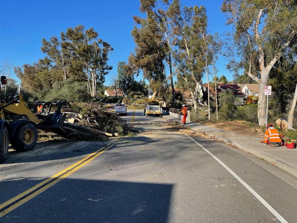 #windrelated (*not my photos*)trees down all over Mission Viejo and Lake Forest