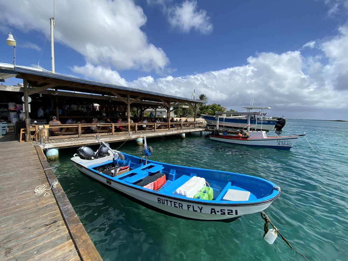 I was laid off <a href="/voxdotcom/">Vox</a> last Friday with the entire visuals team while on vacation. Watching the sea was incredibly comforting. Possibilities abound, I know my passion for visual, data things will sail me far. Pls reach out if you see a chance for us to do this together.