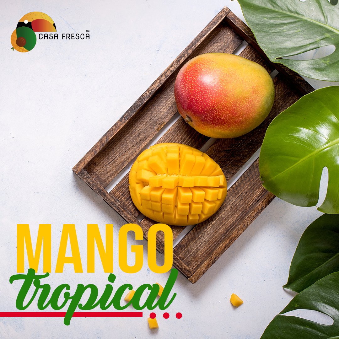 Casafrescave's tweet image. Estamos a pocos días para comenzar la temporada de #mangos🥭en Venezuela 🇻🇪

Si eres importador de esta deliciosa #fruta en Casa Fresca te ofrecemos 3 variedades: #haden #kent #keitt

#exportacionvenezuela #exportfruit #agriculture #exportadoradefrutas #fruits #campo #agronegocio